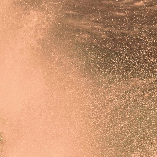 Botanical Root Therapy